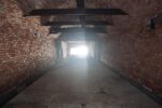 torpedobatterie_roedberget_2025_031