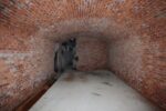 torpedobatterie_roedberget_2025_048