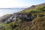 torpedobatterie_roedberget_2025_055