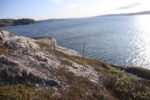 torpedobatterie_roedberget_2025_060