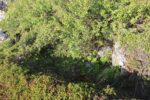 torpedobatterie_roedberget_2025_064