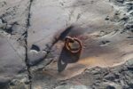 torpedobatterie_roedberget_2025_066
