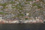 torpedobatterie_roedberget_2025_067